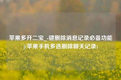 苹果多开二宝_-键删除消息记录必备功能](苹果手机多选删除聊天记录)