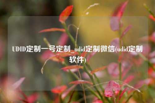 UDID定制一号定制_udid定制微信(udid定制软件)