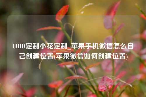 UDID定制小花定制_苹果手机微信怎么自己创建位置(苹果微信如何创建位置)