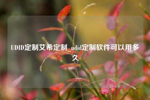 UDID定制艾希定制_udid定制软件可以用多久