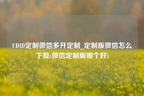 UDID定制微信多开定制_定制版微信怎么下载(微信定制版哪个好)