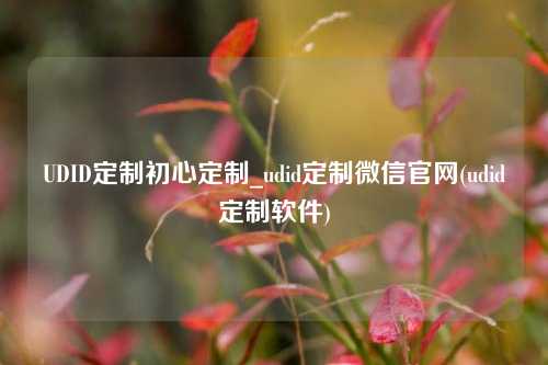 UDID定制初心定制_udid定制微信官网(udid定制软件)