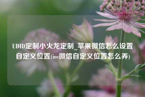 UDID定制小火龙定制_苹果微信怎么设置自定义位置(ios微信自定义位置怎么弄)