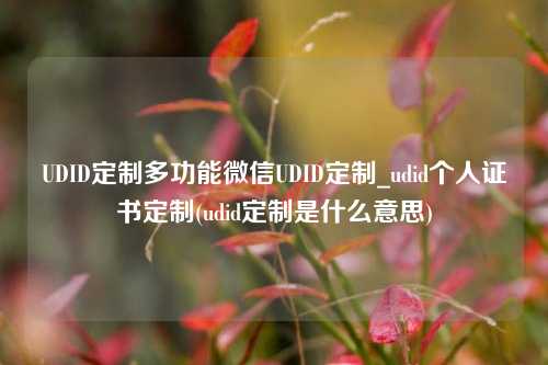 UDID定制多功能微信UDID定制_udid个人证书定制(udid定制是什么意思)