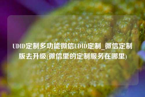 UDID定制多功能微信UDID定制_微信定制版去升级(微信里的定制服务在哪里)