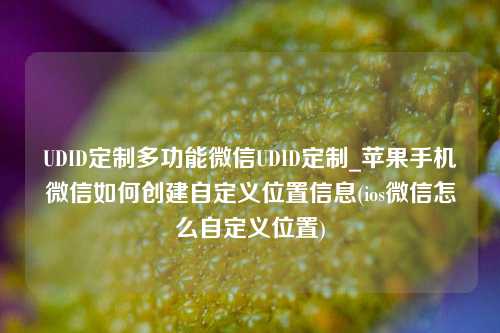 UDID定制多功能微信UDID定制_苹果手机微信如何创建自定义位置信息(ios微信怎么自定义位置)