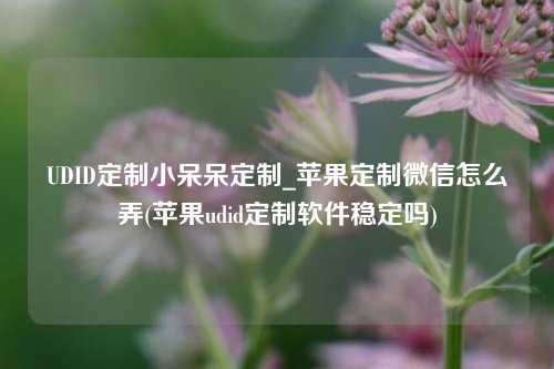 UDID定制小呆呆定制_苹果定制微信怎么弄(苹果udid定制软件稳定吗)