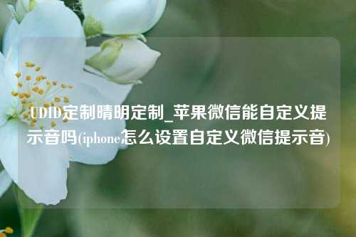 UDID定制晴明定制_苹果微信能自定义提示音吗(iphone怎么设置自定义微信提示音)