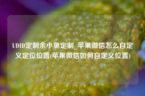 UDID定制余小鱼定制_苹果微信怎么自定义定位位置(苹果微信如何自定义位置)