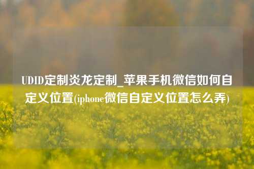 UDID定制炎龙定制_苹果手机微信如何自定义位置(iphone微信自定义位置怎么弄)