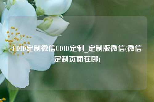 UDID定制微信UDID定制_定制版微信(微信定制页面在哪)