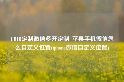 UDID定制微信多开定制_苹果手机微信怎么自定义位置(iphone微信自定义位置)