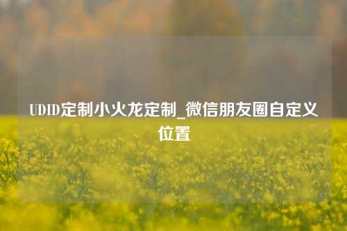 UDID定制小火龙定制_微信朋友圈自定义位置