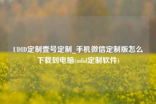 UDID定制壹号定制_手机微信定制版怎么下载到电脑(udid定制软件)