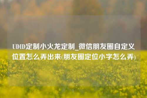 UDID定制小火龙定制_微信朋友圈自定义位置怎么弄出来(朋友圈定位小字怎么弄)