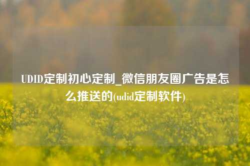 UDID定制初心定制_微信朋友圈广告是怎么推送的(udid定制软件)