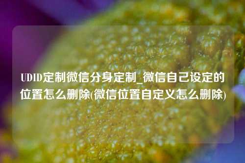 UDID定制微信分身定制_微信自己设定的位置怎么删除(微信位置自定义怎么删除)