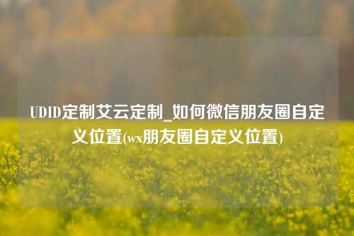 UDID定制艾云定制_如何微信朋友圈自定义位置(wx朋友圈自定义位置)