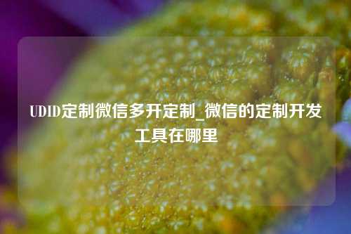 UDID定制微信多开定制_微信的定制开发工具在哪里