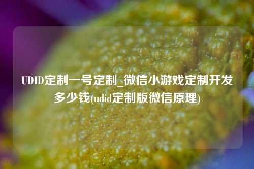 UDID定制一号定制_微信小游戏定制开发多少钱(udid定制版微信原理)