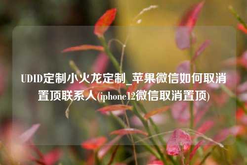 UDID定制小火龙定制_苹果微信如何取消置顶联系人(iphone12微信取消置顶)