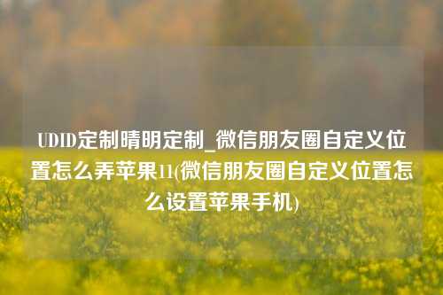 UDID定制晴明定制_微信朋友圈自定义位置怎么弄苹果11(微信朋友圈自定义位置怎么设置苹果手机)