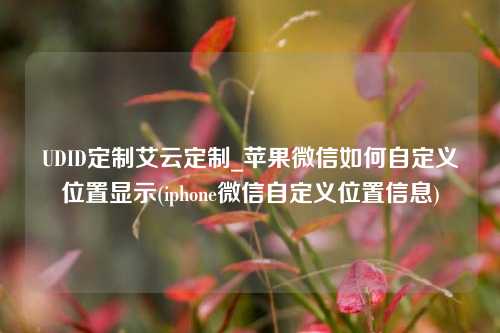 UDID定制艾云定制_苹果微信如何自定义位置显示(iphone微信自定义位置信息)