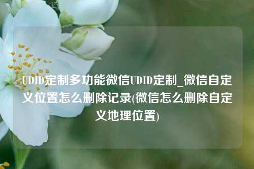 UDID定制多功能微信UDID定制_微信自定义位置怎么删除记录(微信怎么删除自定义地理位置)