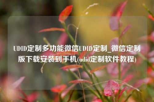 UDID定制多功能微信UDID定制_微信定制版下载安装到手机(udid定制软件教程)