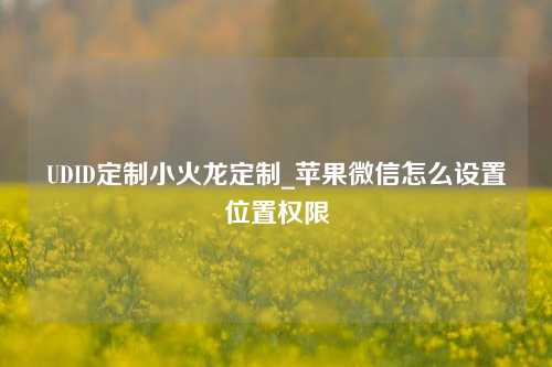 UDID定制小火龙定制_苹果微信怎么设置位置权限