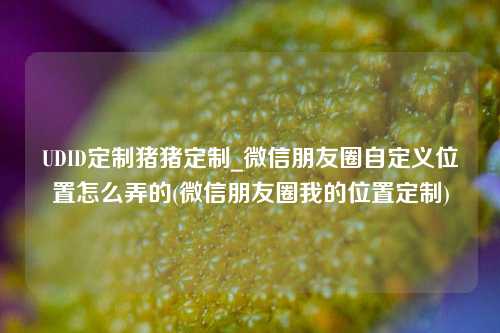 UDID定制猪猪定制_微信朋友圈自定义位置怎么弄的(微信朋友圈我的位置定制)