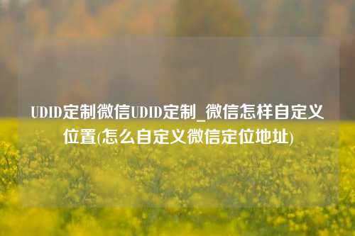 UDID定制微信UDID定制_微信怎样自定义位置(怎么自定义微信定位地址)