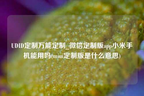 UDID定制万能定制_微信定制版app小米手机能用吗(miui定制版是什么意思)