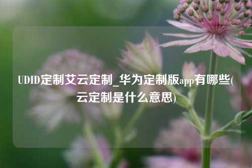 UDID定制艾云定制_华为定制版app有哪些(云定制是什么意思)