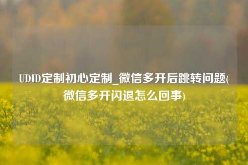 UDID定制初心定制_微信多开后跳转问题(微信多开闪退怎么回事)