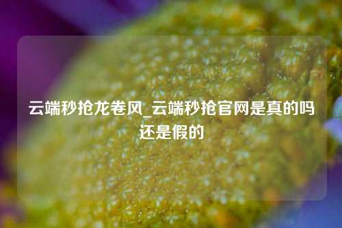 云端秒抢龙卷风_云端秒抢官网是真的吗还是假的