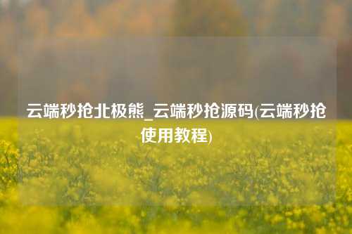 云端秒抢北极熊_云端秒抢源码(云端秒抢使用教程)