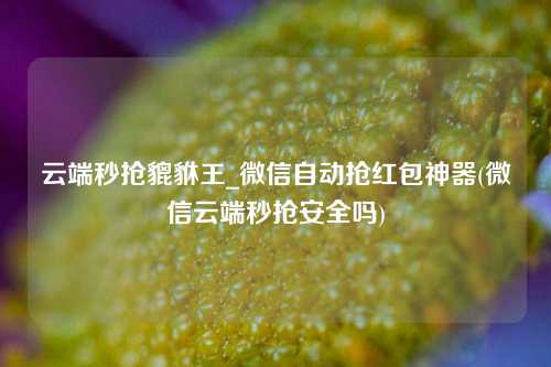 云端秒抢貔貅王_微信自动抢红包神器(微信云端秒抢安全吗)