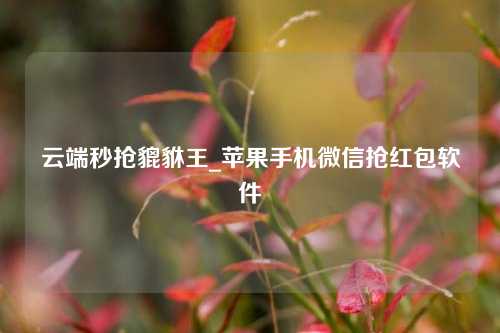 云端秒抢貔貅王_苹果手机微信抢红包软件