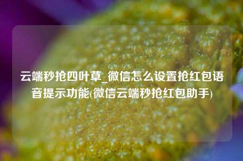 云端秒抢四叶草_微信怎么设置抢红包语音提示功能(微信云端秒抢红包助手)