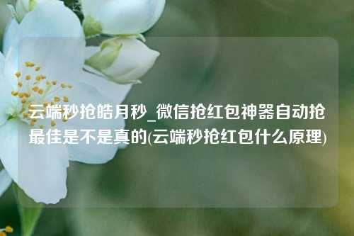 云端秒抢皓月秒_微信抢红包神器自动抢最佳是不是真的(云端秒抢红包什么原理)