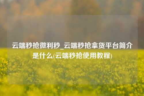 云端秒抢微利秒_云端秒抢拿货平台简介是什么(云端秒抢使用教程)