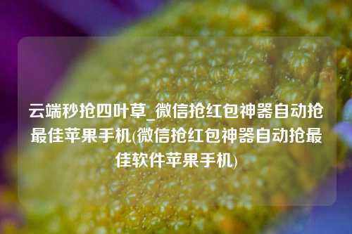 云端秒抢四叶草_微信抢红包神器自动抢最佳苹果手机(微信抢红包神器自动抢最佳软件苹果手机)