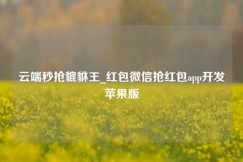 云端秒抢貔貅王_红包微信抢红包app开发苹果版