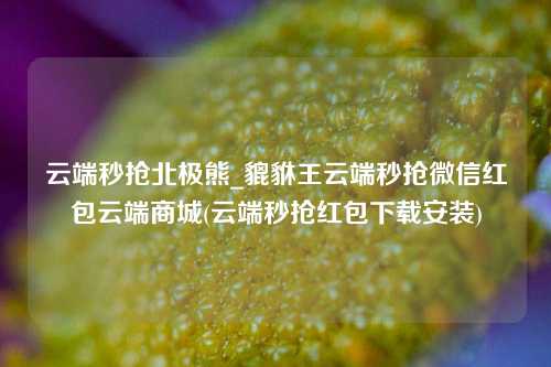 云端秒抢北极熊_貔貅王云端秒抢微信红包云端商城(云端秒抢红包下载安装)