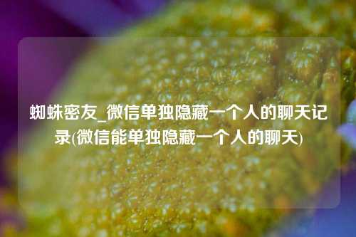 蜘蛛密友_微信单独隐藏一个人的聊天记录(微信能单独隐藏一个人的聊天)