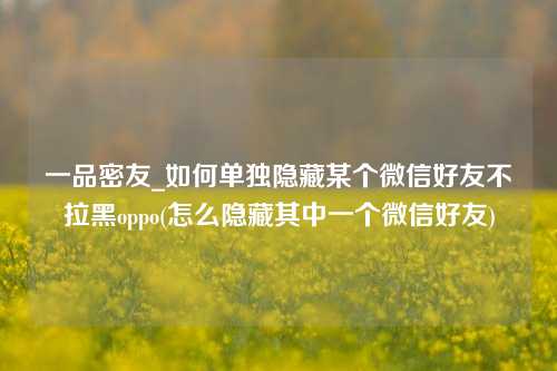 一品密友_如何单独隐藏某个微信好友不拉黑oppo(怎么隐藏其中一个微信好友)