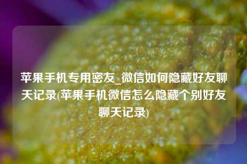 苹果手机专用密友_微信如何隐藏好友聊天记录(苹果手机微信怎么隐藏个别好友聊天记录)