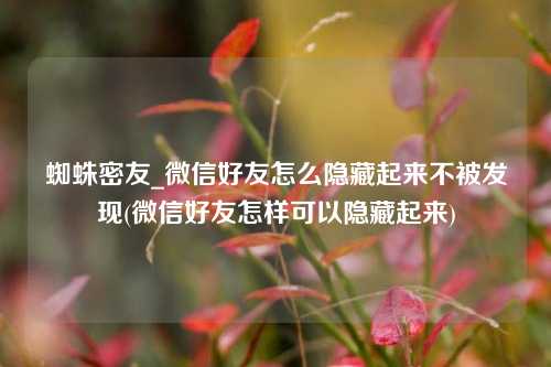 蜘蛛密友_微信好友怎么隐藏起来不被发现(微信好友怎样可以隐藏起来)