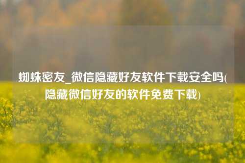 蜘蛛密友_微信隐藏好友软件下载安全吗(隐藏微信好友的软件免费下载)